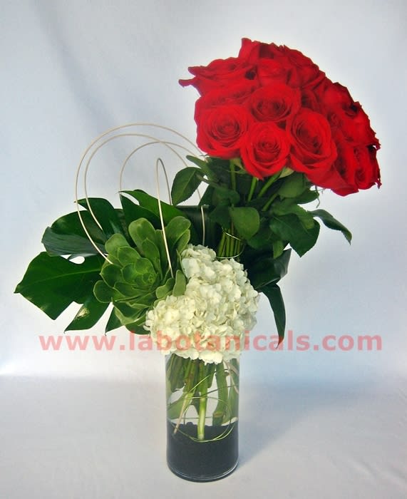 Modern Two Dozen Roses  - A contemporary twist on the classic rose arrangement, this bouquet is chic and unique. Premium long stem roses are gathered in a bouquet, then arranged with hydrangea, exotic leaves and succulents. The clear glass vase is accented with designer sand. A great way to make a spectacular impression! Stands approx. 24&quot; tall.