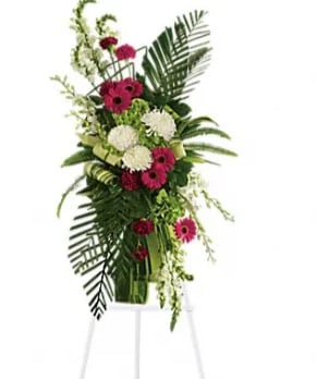 Gerberas and Palms Spray Gerberas and Palms Spray - Convey your respect and admiration with this spray of striking red and white funeral flowers. Red gerberas and carnations complement white orchids snapdragons and chrysanthemums all set against the deep greens of tropical palm leaves.