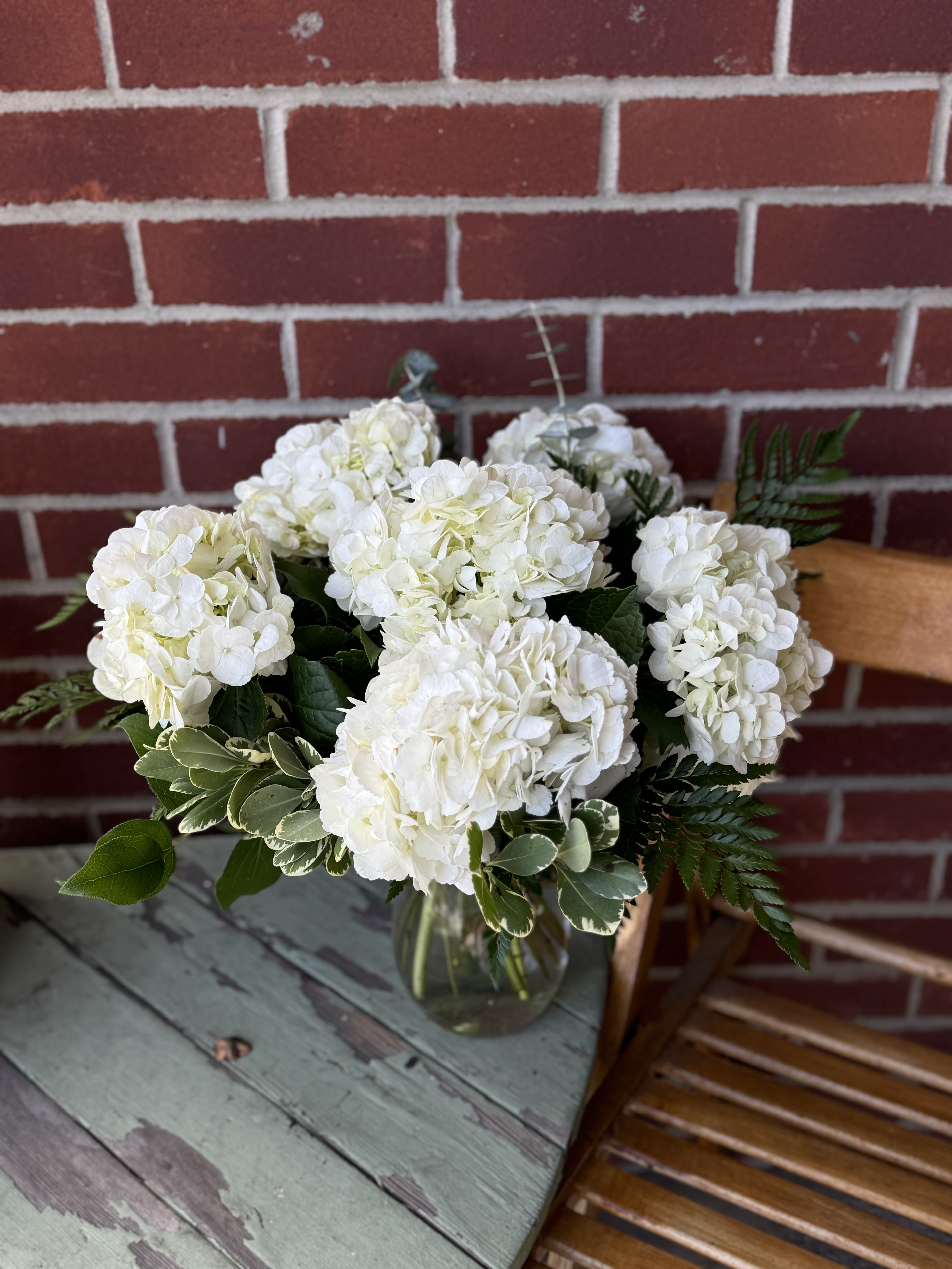 Heavenly Hydrangea Heavenly Hydrangea - First discovered in Japan, the name hydrangea comes from the Greek "hydor," meaning water, and "angos," meaning jar or vessel. This roughly translates to "water barrel," referring to the hydrangea's need for plenty of water and its cup-shaped flower. With its wooden stems and lacy, star-shaped flowers packed closely together in a pompom.