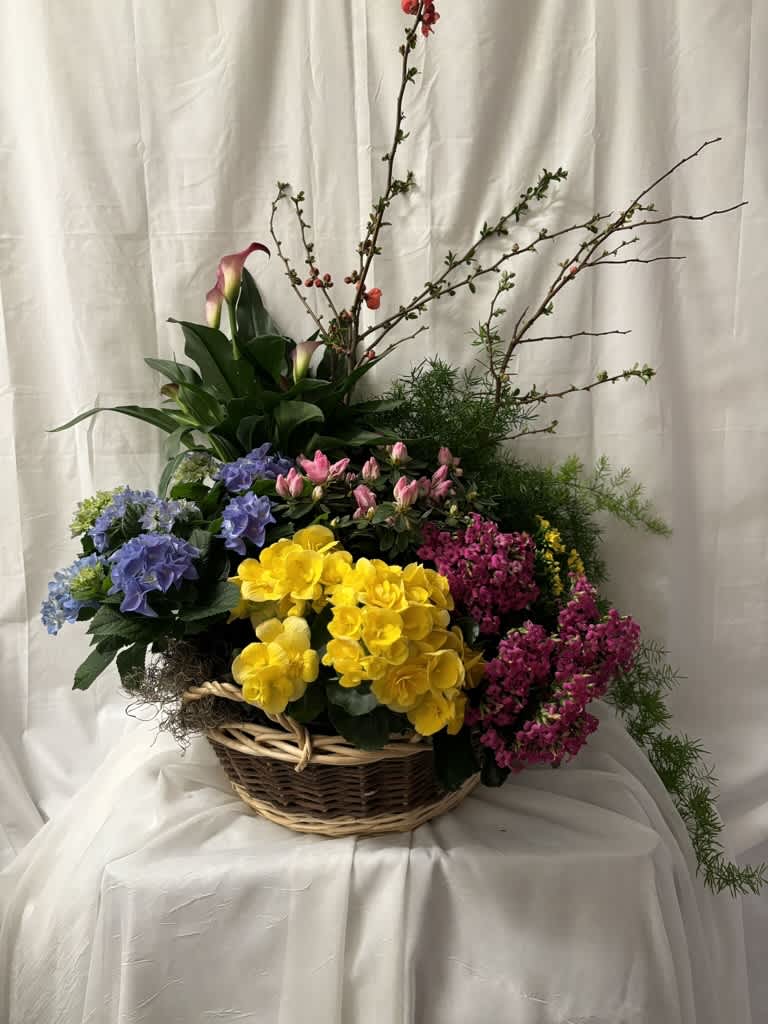Bonnie's Garden Bonnie's Garden - A beautiful basket of green and flowering plants
