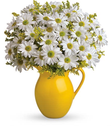 Teleflora's Sunny Day Pitcher of Daisies Teleflora's Sunny Day Pitcher of Daisies - Picture someone receiving this sunny pitcher of daisies! It's so bright and full of warmth it's guaranteed to make them smile. Besides being the perfect bouquet for any occasion the dazzling yellow ceramic pitcher can be used and enjoyed for years to come. Let's hear it for yellow spray roses and cheerful yellow and white daisy spray chrysanthemums plus solidago delivered in an exclusive keepsake vase.Approximately 14" W x 16" H Orientation: All-Around As Shown : T139-1ADeluxe : T139-1BPremium : T139-1C