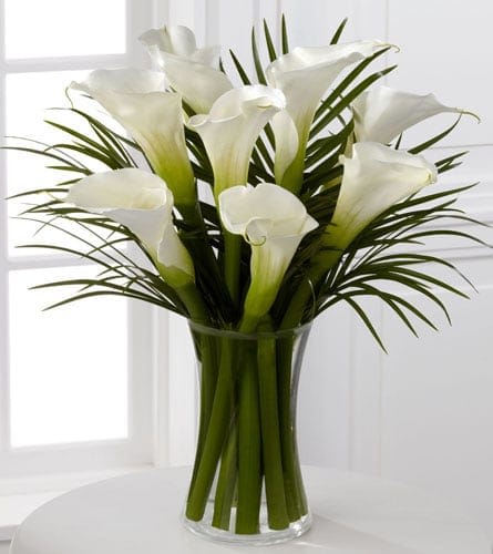 White Calla Lily Vase - The Always Adored Bouquet is a sophisticated display of sweet serenity. Elegant white calla lilies are simply accented by Phoenix palm leaves to give a look of purity and peace. Seated in a clear glass gathering vase, this bouquet is a beautiful choice.