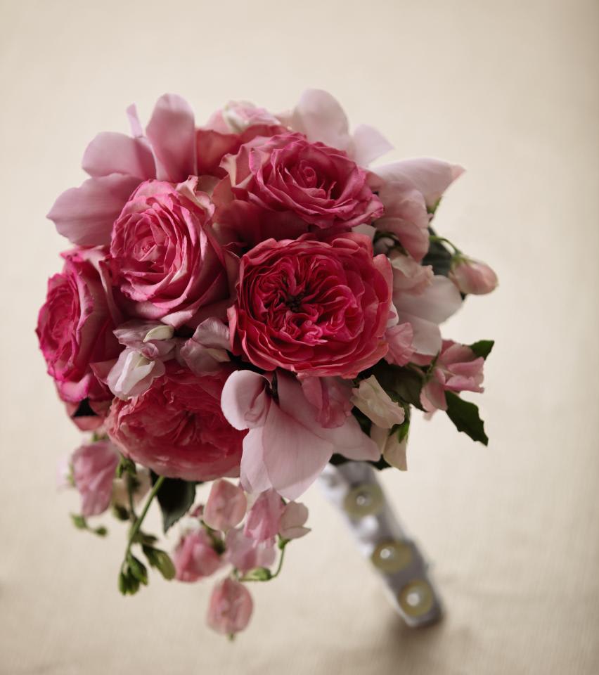 FTD Pink Mink Bouquet - The FTDÂ® Pink Minkâ¢ Bouquet is a bright and beautiful way to add to the  color and beauty of your wedding day. Fuchsia garden roses will get  their attention arranged amongst pink sweet pea stems, bi-colored pink  roses, and pink cyclamen, tied together with a silver gray satin ribbon,  to create an elegant and charming bouquet. Approx. 13âH x 8âW. 