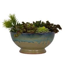 Succulent Bowl - The perfect desk or table accessory, this succulent box features four 4 inch succulents and three 2 inch succulents. Perfect for birthdays, Father's Day or sending post promotion or job hire. 