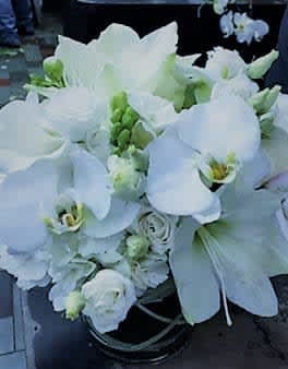 Winter White - Phalaenopsis Orchids, White Lisianthus &amp; White Freesia