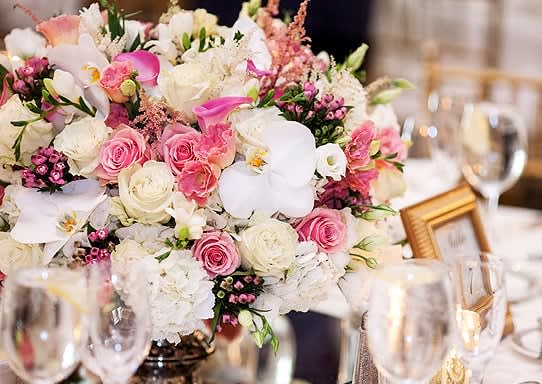 lavish grand lavish grand - lavish grand roses orchids