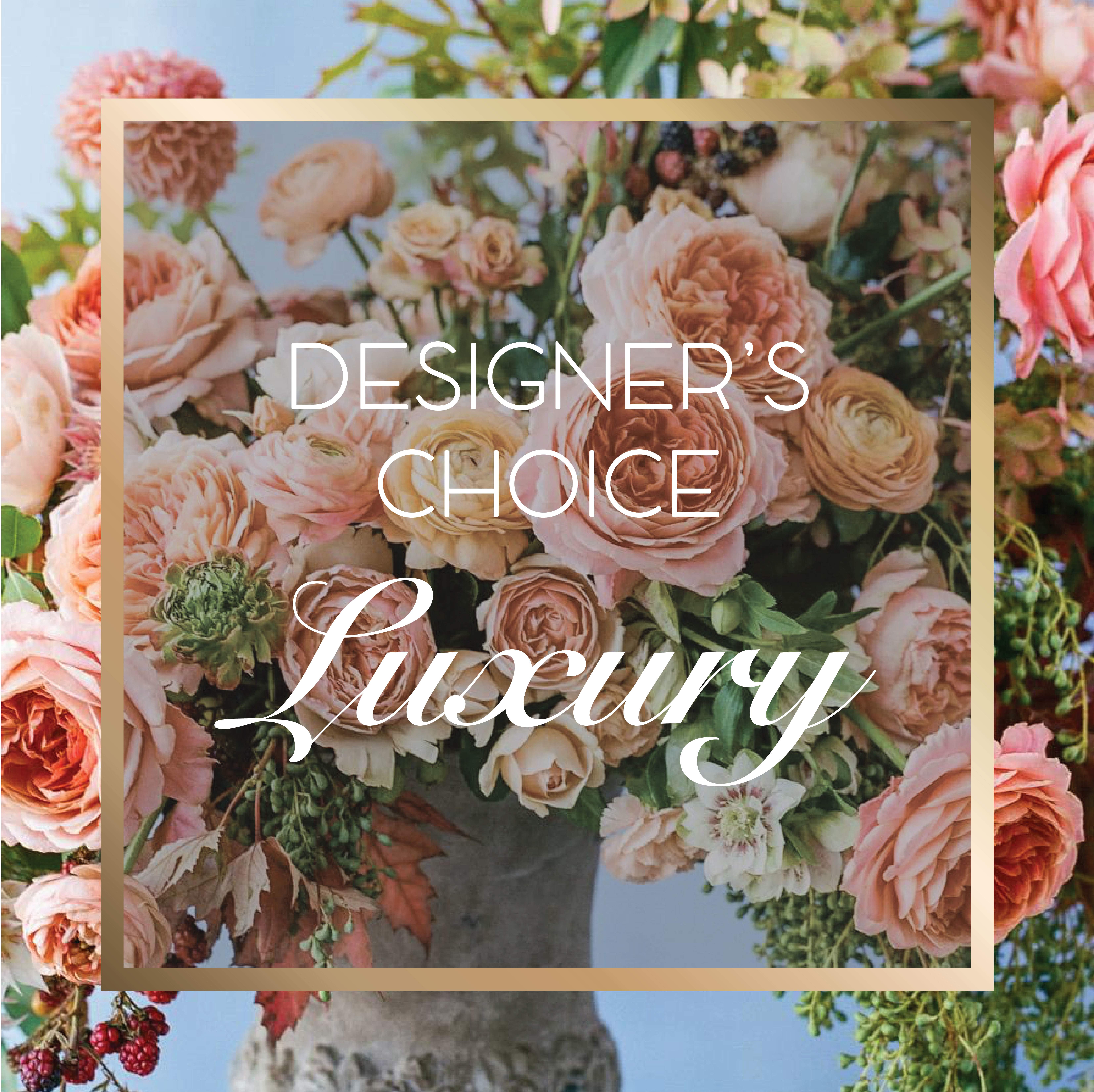 Designer's Choice Luxury - A unique blend of luxurious flowers that the season provides us with. Your arrangement will be made with top of the line flowers that not only look amazing but will smell amazing as well. 