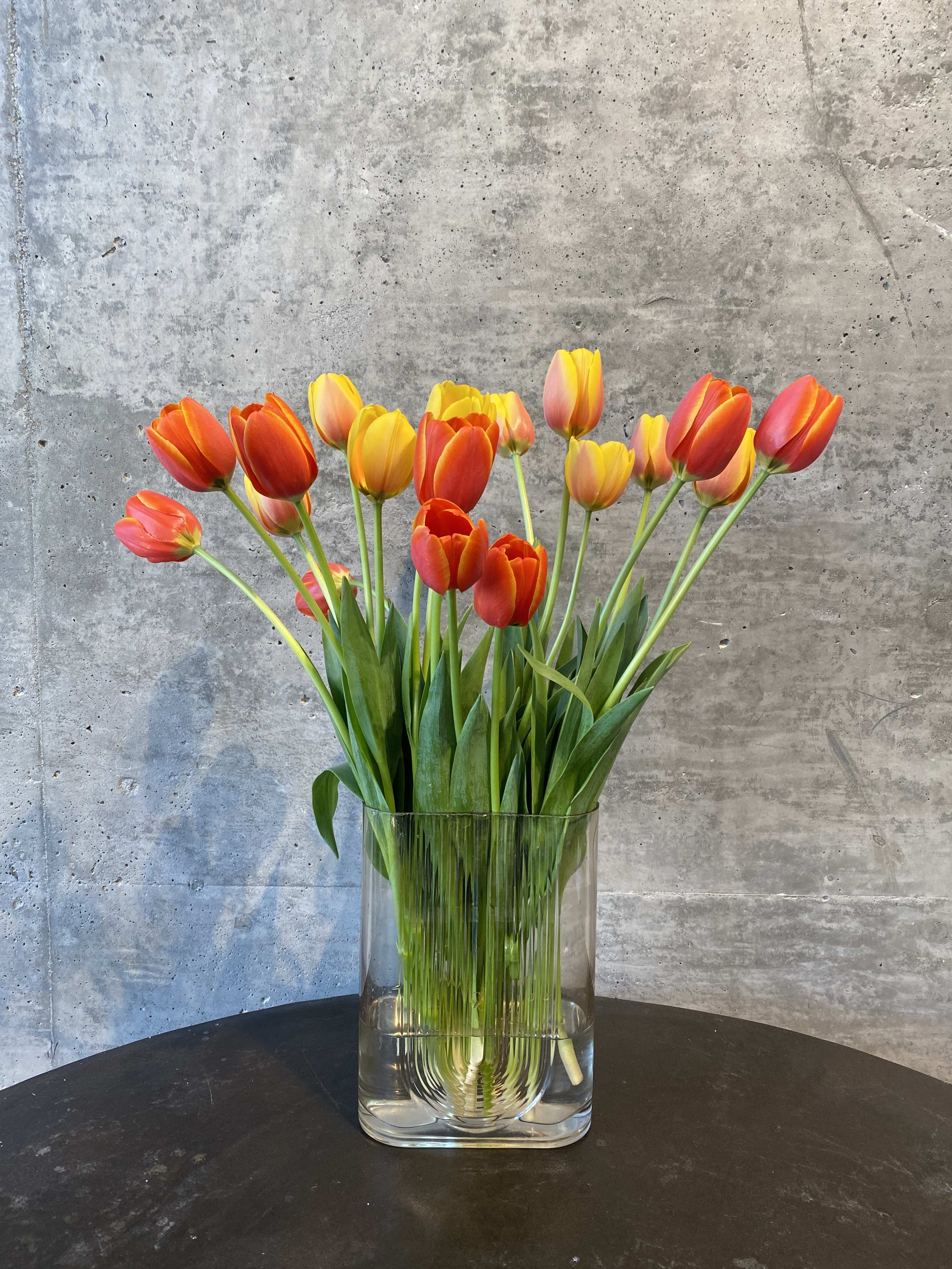 20 French Tulips - An elegant arrangement of twenty french tulips placed into an elevated glass vase. Please specify color when placing order. 