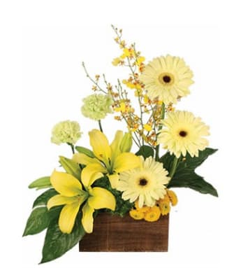 Joyous Sunlight Joyous Sunlight - Joyous Sunlight bouquet to make someone smile/