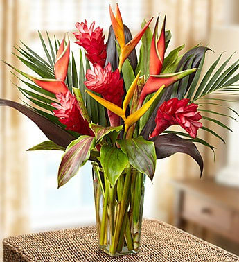 Tropical Arrangement in a vase - Heliconia, ginger and psittacorum combine to make you feel like you are on an island in the tropics (just like Miami!).