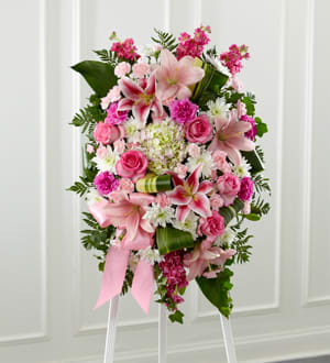 Gently into the Ever After Easle Spray Gently into the Ever After Easle Spray - Bright, fresh, beautiful and just right for an elegant expression of heartfelt sorrow and devastating loss. This classic standing arrangement is constructed by our talented designers of hand-selected pink blossoms ranging from pale pastels to deep blushing pink. It includes roses, carnations, stock, cushion pompons, Asiatic and Stargazer lilies and hydrangea beautifully set among a field of lush contrasting greens like aspidistra and ivy vines. It comes with a wooden easel for flexible display options and makes an impressive memorable tribute at a wake, funeral or graveside service.