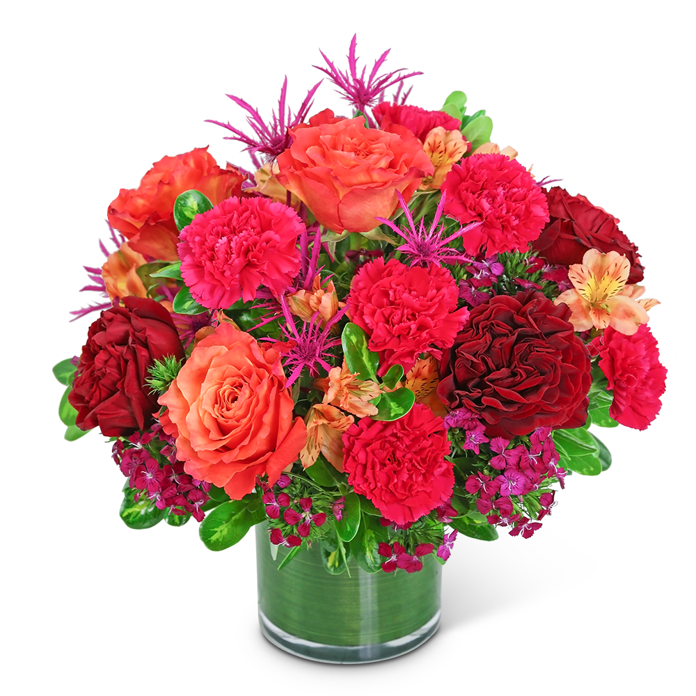 Mango Luxe - Add bold color to your life with our Mango Luxe design. Our hand-arranged floral design is the perfect way to show someone special how much you care. It features gorgeous reds, pinks, and oranges in a combination of Roses, Carnations, Alstroemeria, Dianthus, and premium foliage. This sweet, colorful arrangement is the perfect statement piece for a dining room table or kitchen island.