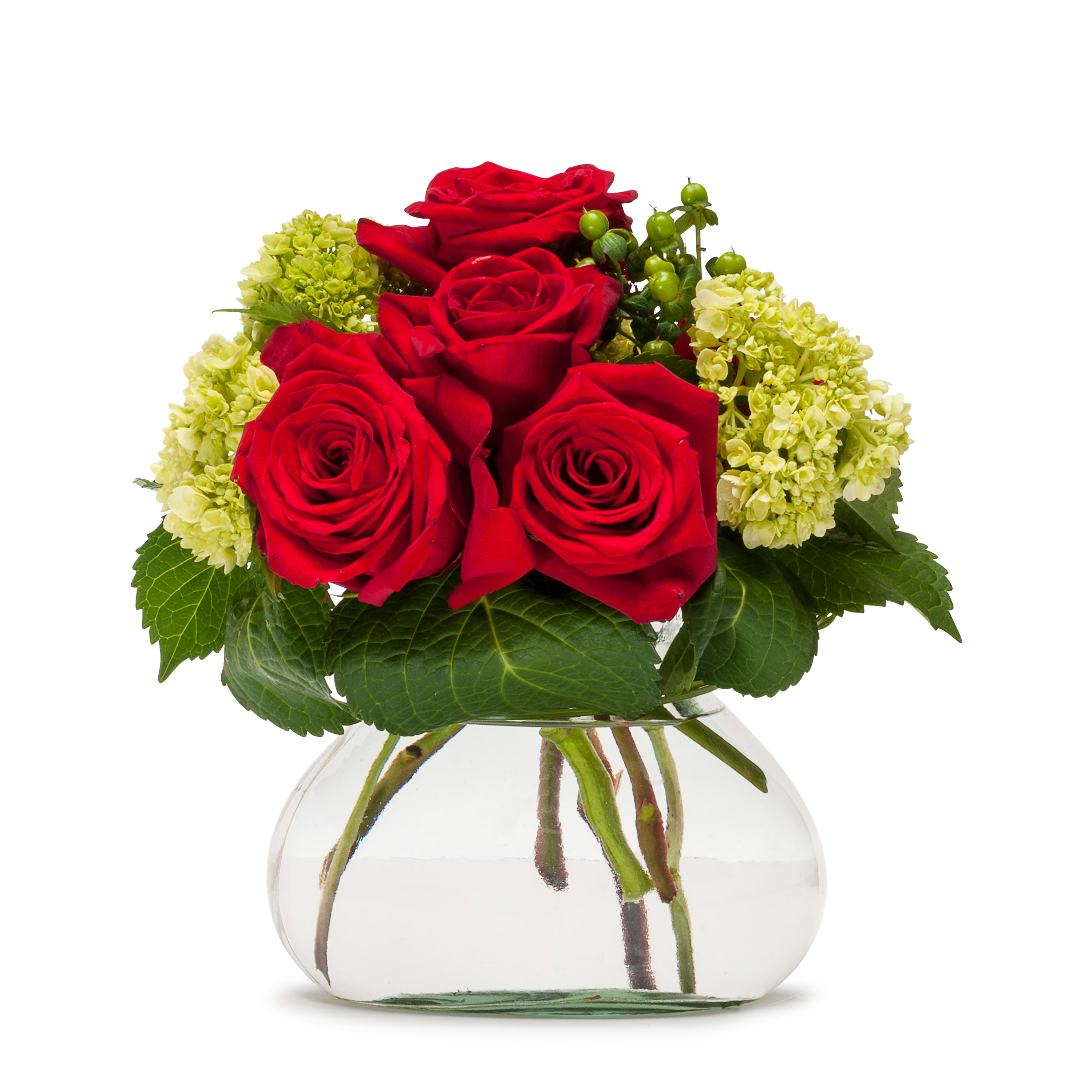 Modesto Modesto - Roses and hydrangea combine to give a sweet romantic presentation to show your love. Approximately 7"W X 8"H