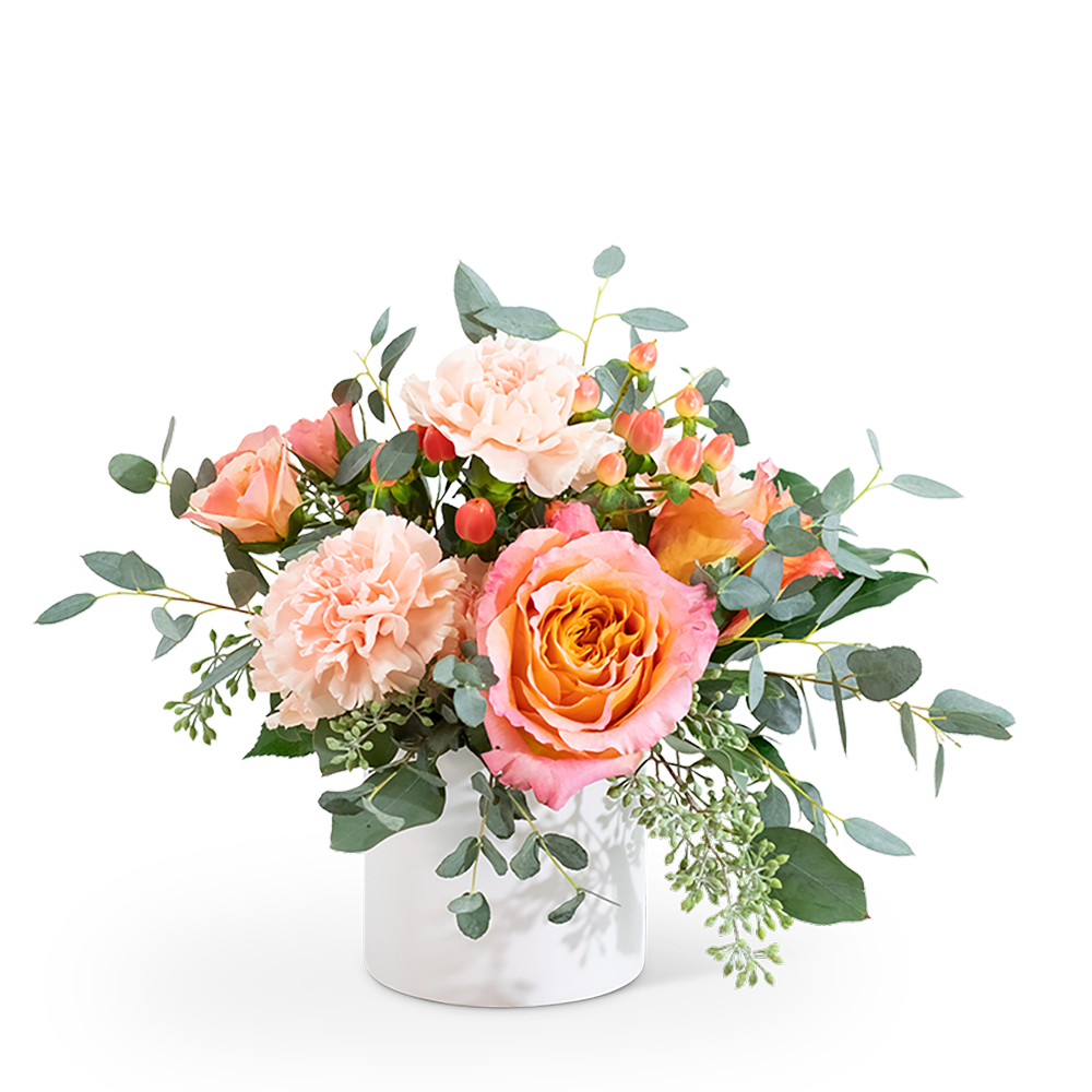 Malibu Beauty Malibu Beauty - Looking for the perfect birthday or get well gift? Brighten someone's day with the creatively designed Malibu Beauty arrangement. Its highlighted flowers include Free Spirit Roses, peach carnation, hypericum berries, peach spray roses, and different varieties of eucalyptus. It's a great gift for any occasion.
