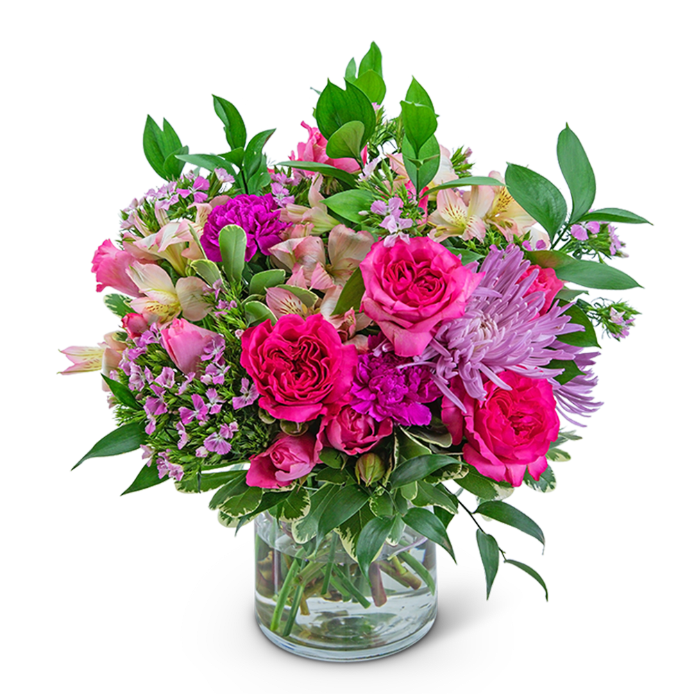 Classic Cosmopolitan Classic Cosmopolitan - Who wouldn’t like to receive this classically chic arrangement? Classic Cosmopolitan features Pink roses, stem spray roses, dianthus, alstroemeria, spider mums, carnations, ruscus, and pittosporum in a clear vase. This would be a sweet gift for retirement, birthday, or any occasion and will look perfect on a coffee table or desk.