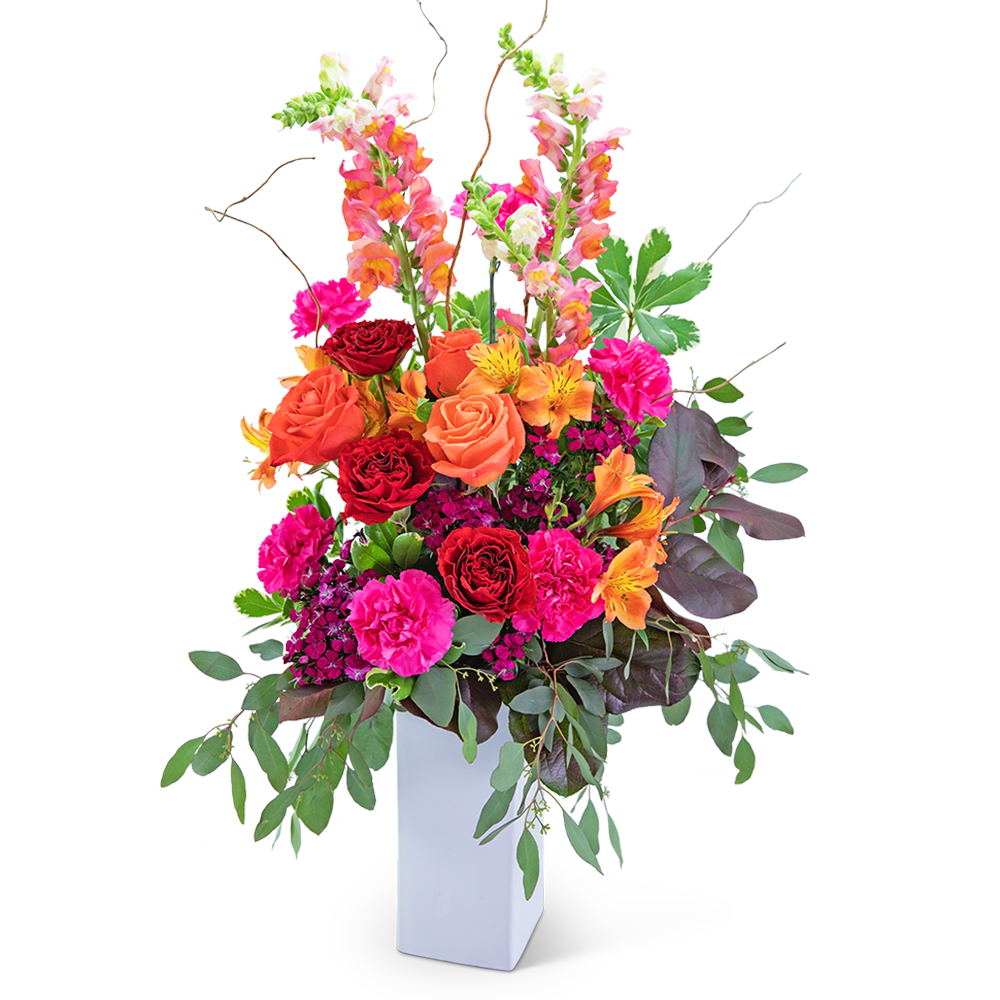Discover Paradise Discover Paradise - Wouldn’t it be paradise to find this colorful arrangement waiting for you? Discover Paradise is a vibrant collection of Myra and orange roses, carnations, alstroemeria, snapdragons, and dianthus accented with curly willow and a variety of foliage in a white ceramic container. This eye catching piece would add a pop of color to any entryway or dining room table.