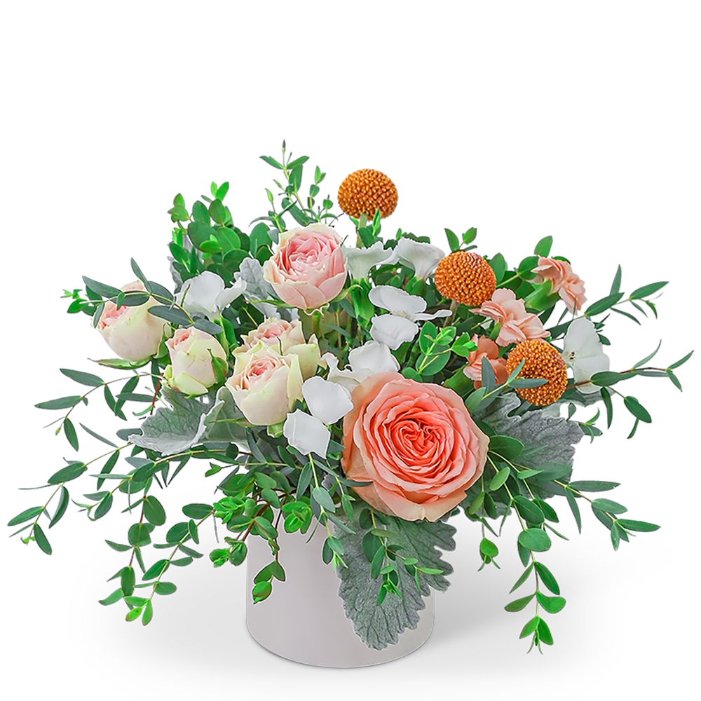 Peach Blossom - Who wouldn’t love this sweet arrangement of peaches and creams? Peach Blossom contains roses, carnations, Crespedia, all accented with a variety of foliage. Whether for a birthday, new baby, or get well gift, this will look perfect on a side table or desk! 