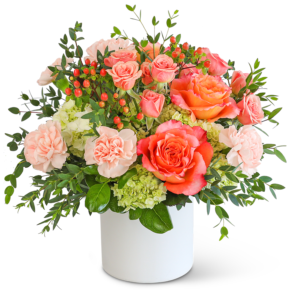 Malibu Radiance - Send a message of love and cheer with this beautiful flower arrangement. Brighten someone's day with the creatively designed Malibu Radiance flower arrangement. Its highlighted flowers include Free Spirit Roses, carnations, hydrangea, spray roses, and assorted foliage. A stunning arrangement of fresh flowers is designed to brighten the room and lift the spirit, making someone’s birthday or get-well gift extra special.