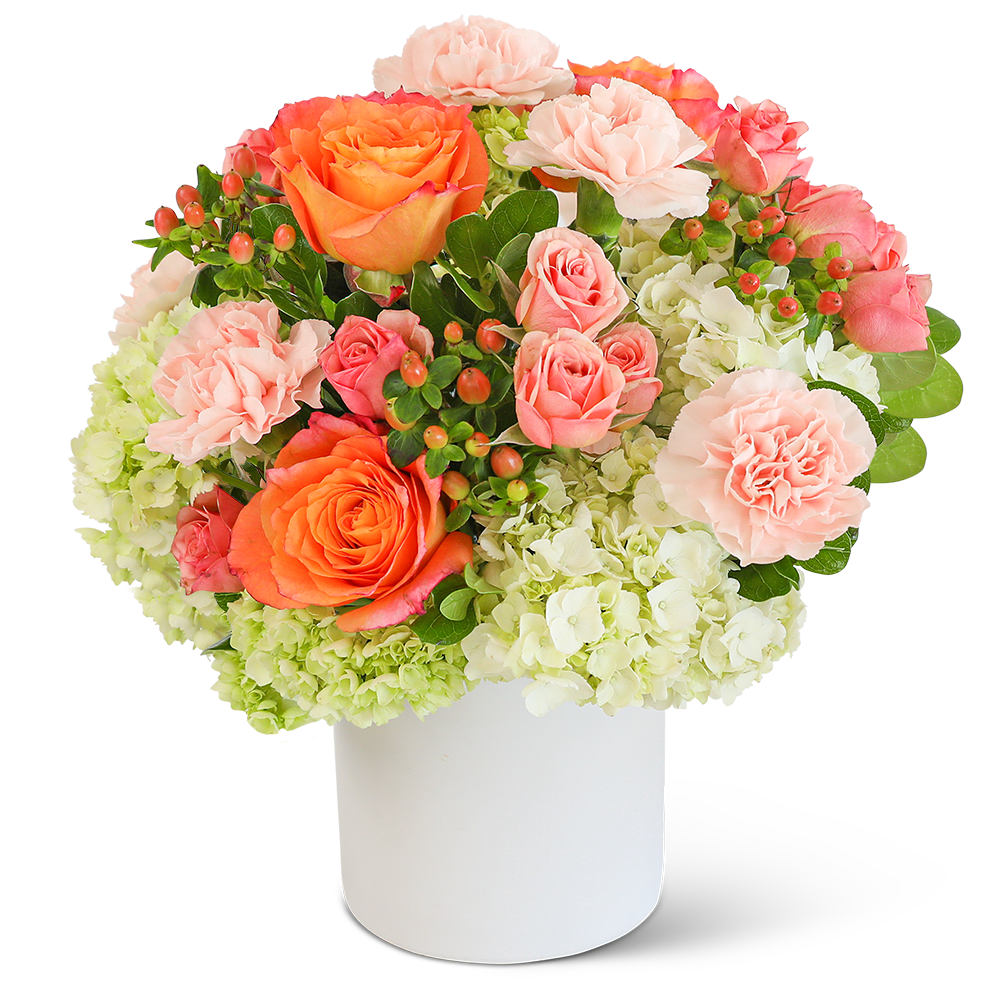 Malibu Morning - Send a message of love and hope with this beautiful flower arrangement. Brighten someone's day with the creatively designed Malibu Morning flower arrangement. Its highlighted flowers include Free Spirit Roses, carnations, hydrangea, spray roses, and assorted foliage. A stunning arrangement of fresh flowers is designed to brighten the room and lift the spirit, making someone’s birthday or get-well gift extra special.