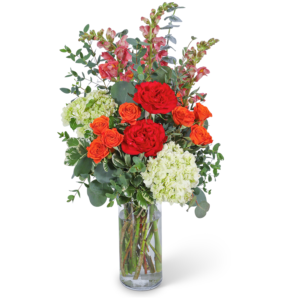 Garden of Capri - The warm glow of sunset is captured in this stunning arrangement. Garden of Capri features roses, hydrangeas, snapdragons, and assorted foliage in a clear glass vase. Whether celebrating a birthday, a new baby, or an anniversary, this bouquet will add just the right touch of warmth to your celebration. What a great way to bring a touch of happiness into the home or office.