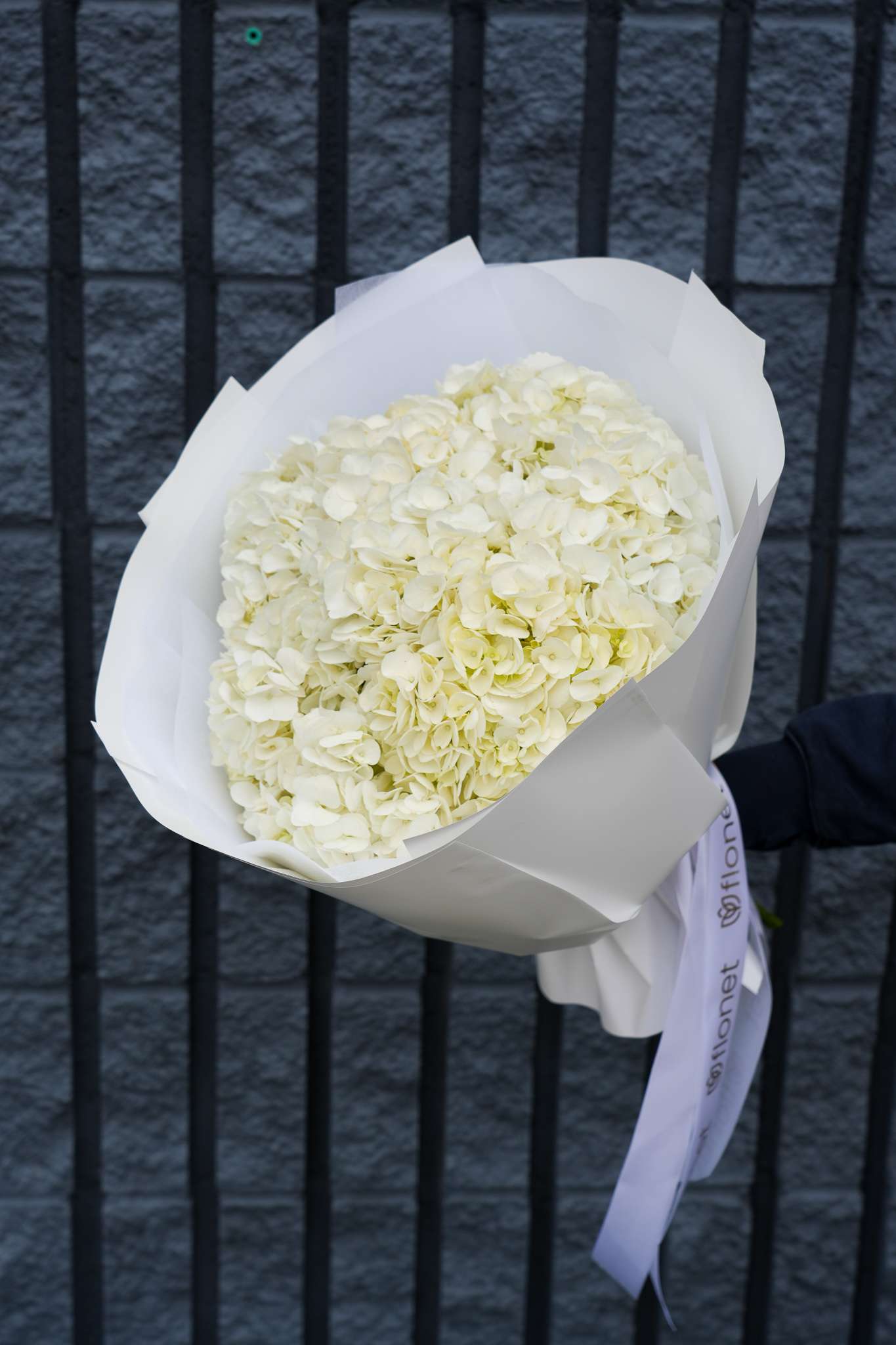 Pure Elegance Bouquet - Standard size-8 stems Deluxe size:  12 stems Premium size-16 stems The Pure Elegance Bouquet features a stunning arrangement of pristine white hydrangeas, beautifully wrapped in crisp white paper. This bouquet exudes simplicity and sophistication, making it the perfect choice for weddings, anniversaries, or any occasion where you want to convey purity and elegance. The lush, full blooms of the hydrangeas create a striking visual impact, while the minimalist wrapping adds a modern touch. Perfect for gifting or as a centerpiece, this bouquet is sure to leave a lasting impression.