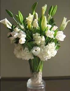 White Simplicity - This all white classy arrangement is designed in a trumpet vase with white rocks on the bottom.The arrangement is composed of white premium blooms such as stargazer lilies, calalilies, tulips, hydrangeas and white roses.
