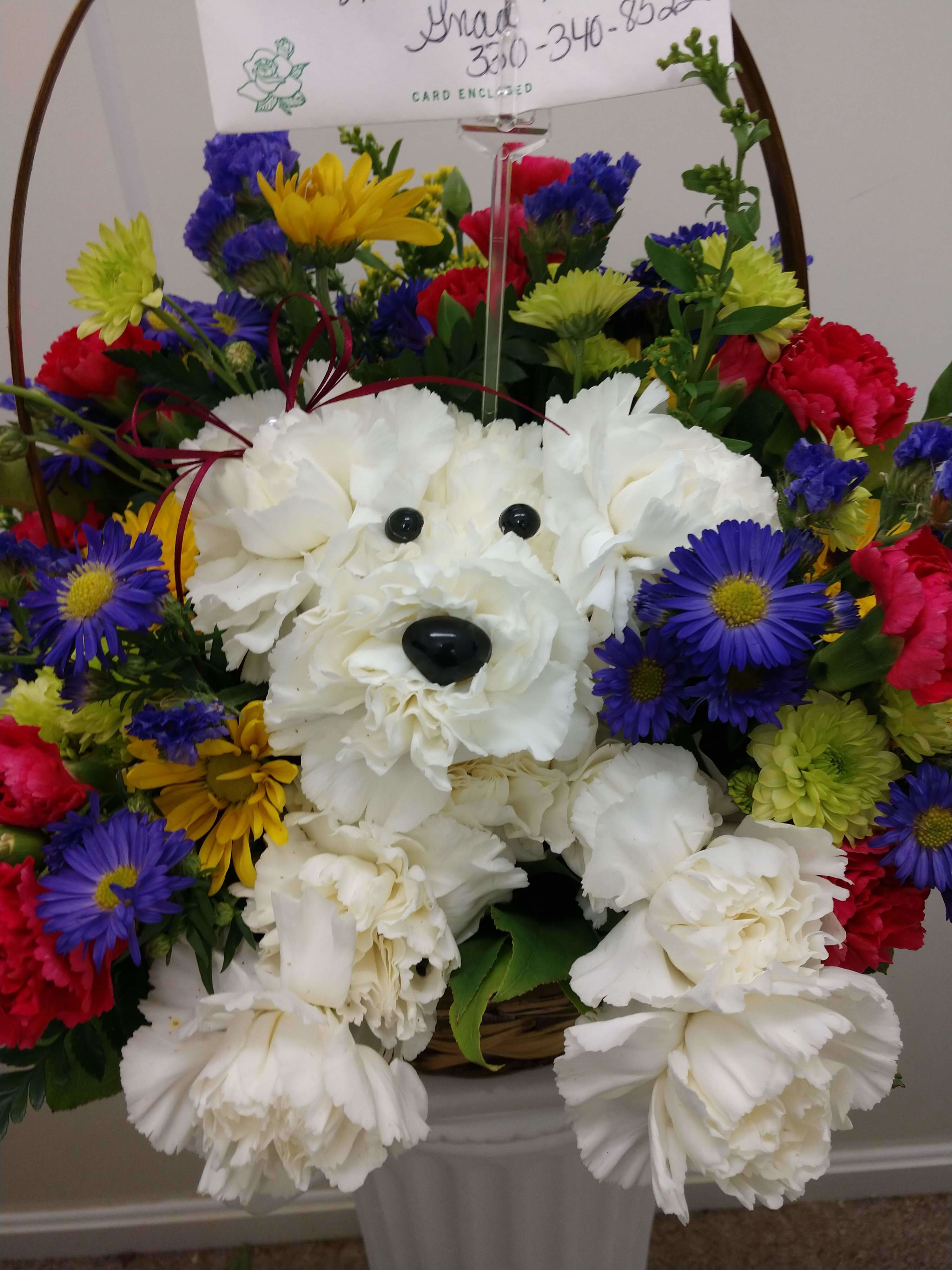 1800 flowers dog deals