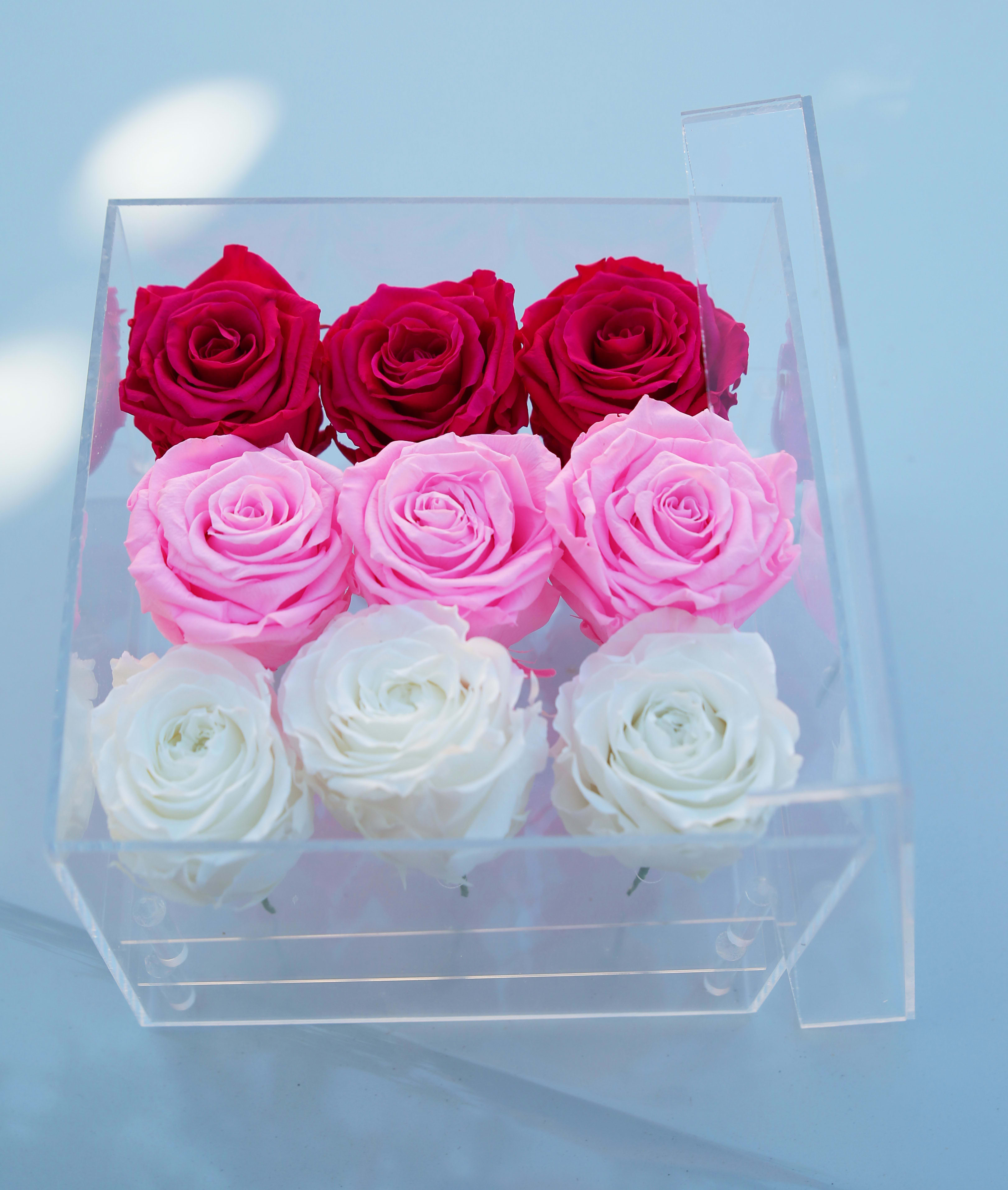 Small Clear Case - 9 All Year Roses in Ombre Pink to White - Meet our everlasting roses! These are REAL roses that can last for up to a year! This case is composed of 9 Ombre' toned Everlasting Roses, (hot pink, light pink and white). While supplies last, color subject to change based on availability.   About: Our everlasting roses, are imported directly from Ecuador where they are treated with a proprietary solution and color pigmentation process that transforms them into long lasting roses that maintain their freshness and biological structure. The roses are treated using a non-toxic and non-allergenic wax formula that is similiar to silica. The outcome is that our roses continue to look and feel like real roses - because they are real - with the difference being that they will maintain their integrity and color for up to a year.  Maintenance: The only maintenance they require is a light dusting from time to time. Do NOT water the roses. Do NOT remove the roses from their container. Do NOT place anything onto the roses as they can crush and damage them. Avoid direct exposure to sunlight. Keep the arrangement in a room temperature environment. Please note, the lid is meant to stay on the side or bottom of the box. Positioning dark colored roses next to light color roses may result in the darker rose color bleeding onto the light roses. 