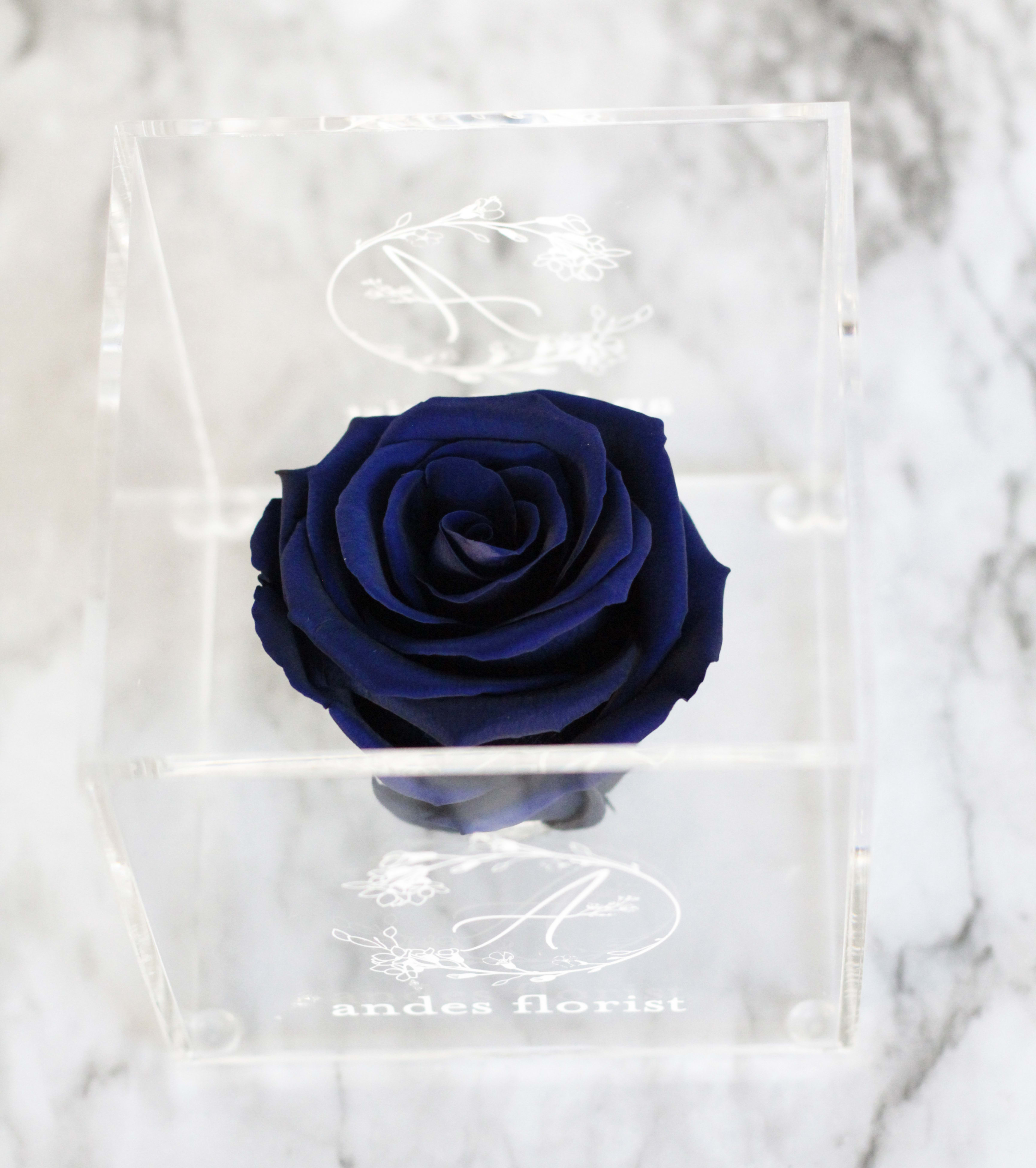 Single One Year Rose in Acrylic Case - Navy Blue - This is a rose that can last for up to a year, or longer! Placed beautifully in an acrylic case  About: Our Everlasting Roses are imported directly from Ecuador where they are treated with a proprietary solution and color pigmentation process that transforms them into long-lasting roses that maintain their freshness and biological structure. The roses are treated using a non-toxic and non-allergenic wax formula that is similar to silica. The outcome is that our roses continue to look and feel like real roses - because they are real - with the difference being that they will maintain their integrity and color for up to a year.  Maintenance: The only maintenance they require is a light dusting from time to time. Do NOT water the roses. Do NOT remove the roses from their container. Do NOT place anything onto the roses as they can crush and damage them. Avoid direct exposure to sunlight. Keep the arrangement in a room temperature environment. 