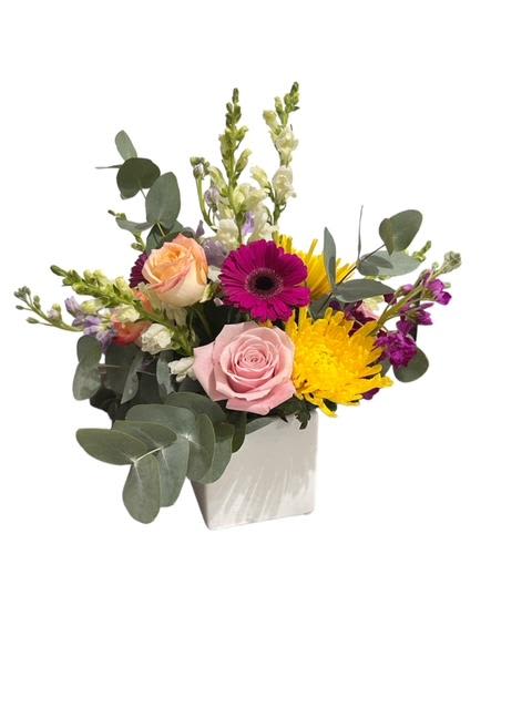 Wild Child Wild Child - This arrangement combines a harmonious blend of colors and shapes, making it a feast for the eyes and a delightful addition to any space. It exudes freshness and charm. A beautiful blend of colors arranged in a white ceramic container using an assortment of snapdragons, roses, gerbera daisies, stock, and assorted eucalyptus.