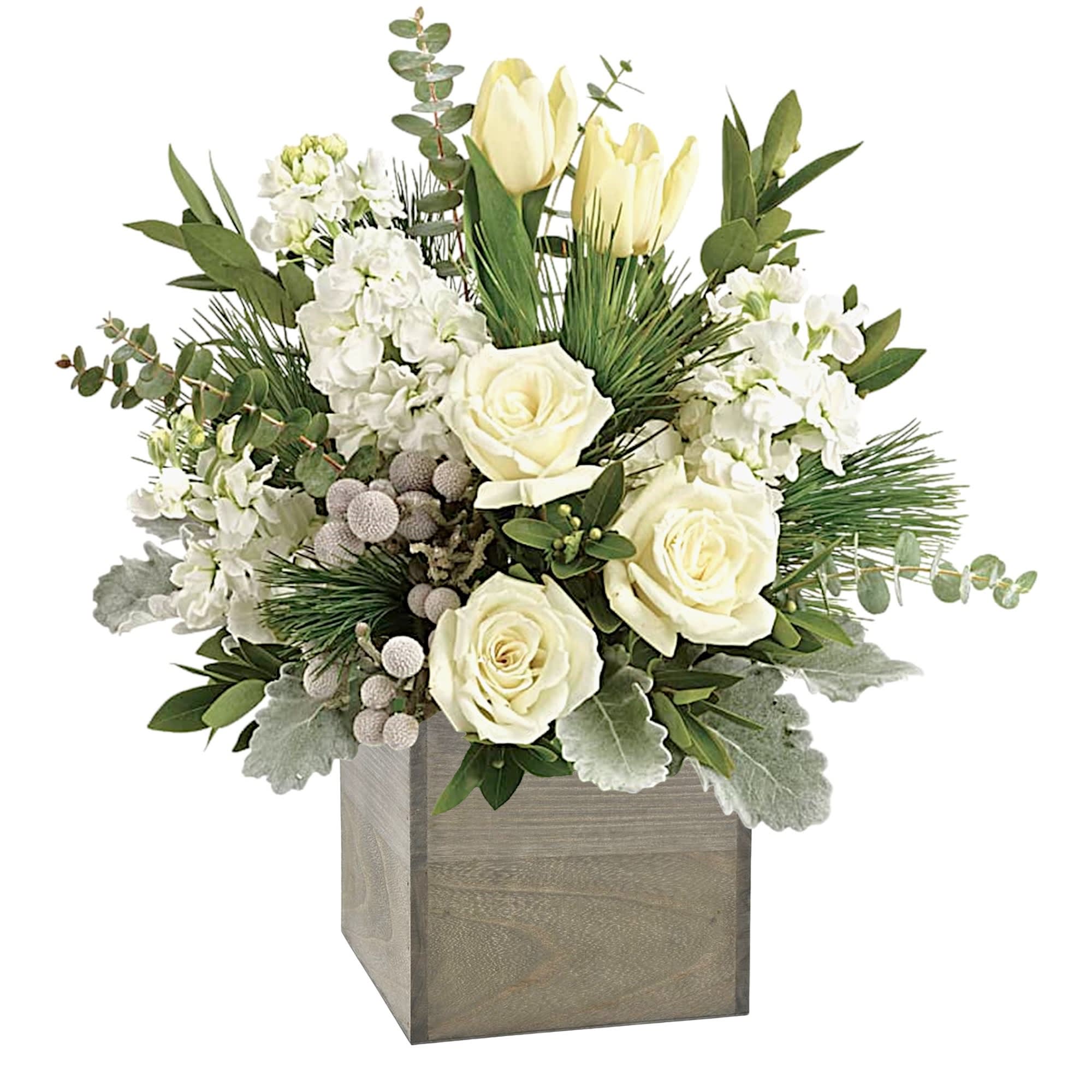 Winter Pop Arrangement - A stylish pop of winter style, this snow-white arrangement in a wooden cube dresses up any occasion!  DETAILS White roses, tulips and stock with silver brunia are arranged with dusty miller, spiral eucalyptus, parvifolia eucalyptus, and white pine.  WOODEN BOX INCLUDED Orientation: One-Sided Item #NF-874  FLORIST-TO-DOOR Same day flower delivery on most orders placed online by 12 pm or 10 am on weekends PST.  BLOOM DETAILS Roses Tulips Stock Silver Brunia Greenery  The Standard Arrangement is approx. 15&quot; H x 15&quot; W. The Deluxe Arrangement is approx. 16 1/4&quot; H x 15&quot; W. The Premium Arrangement is approx. 16 1/4&quot; H x 16 1/2&quot; W.  How to place an order? 1. You can place an order directly on this secure website OR 2. You can call in your order by dialing: (323) 262 - 9238 OR 3. You can visit our store (appointment recommended 323.262.9238)  NINFA'S FLOWERS 2405 WHITTIER BLVD. LOS ANGELES, CA. 90023  ATTENTION: *Please note that on busy holidays, Valentine's Day, and Mother's Day, we cannot verify if the recipient received the flowers until the following day. You can verify delivery on the website after 10:00 pm, call 323.262.9238 the following day after 10:00 am, or contact the recipient directly. Thank you for your patience and understanding.