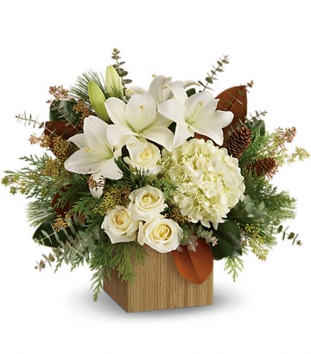 Teleflora's Snowy Woods Bouquet Teleflora's Snowy Woods Bouquet - Hand-delivered in a chic bamboo cube, this extraordinary bouquet of snowy-white blooms and fresh greens is a modern winter gift.