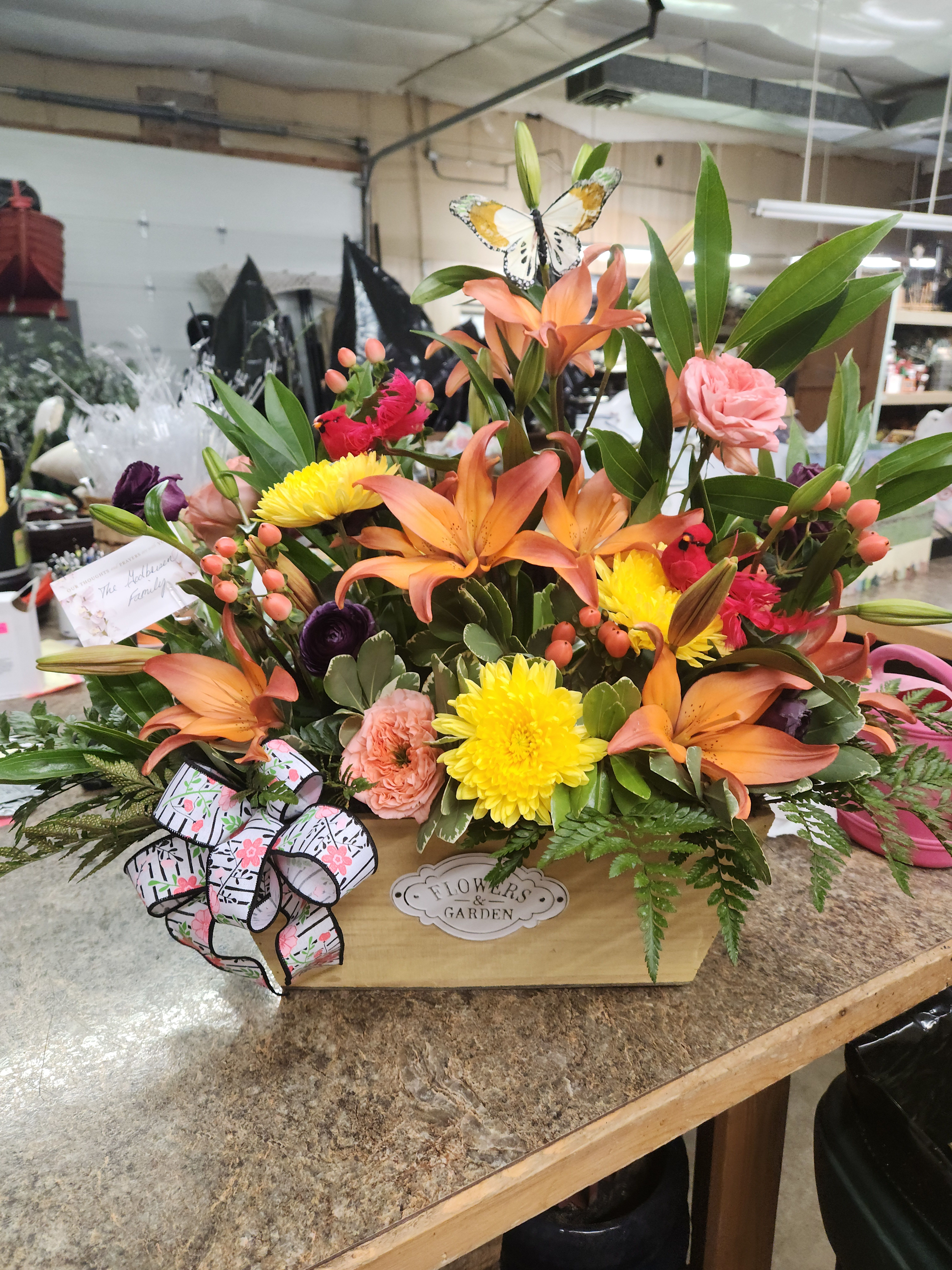 All In Sunshine  - Brighten anyone's day! 