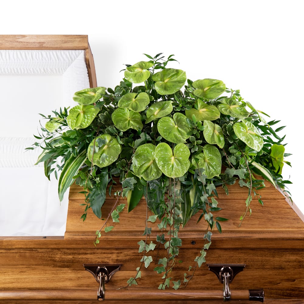 Tropical Haven Casket Spray - Our Tropical Haven Casket Spray is a heartfelt tribute to honor the memory of a loved one who found solace in all things warm and tropical. This exquisite design features lush tropical green anthurium paired with a selection of premium foliage, creating a serene and organic display. Express your deepest sentiments and celebrate the life of your special loved one with the beauty and symbolism of flowers and plants in this elegant casket spray.