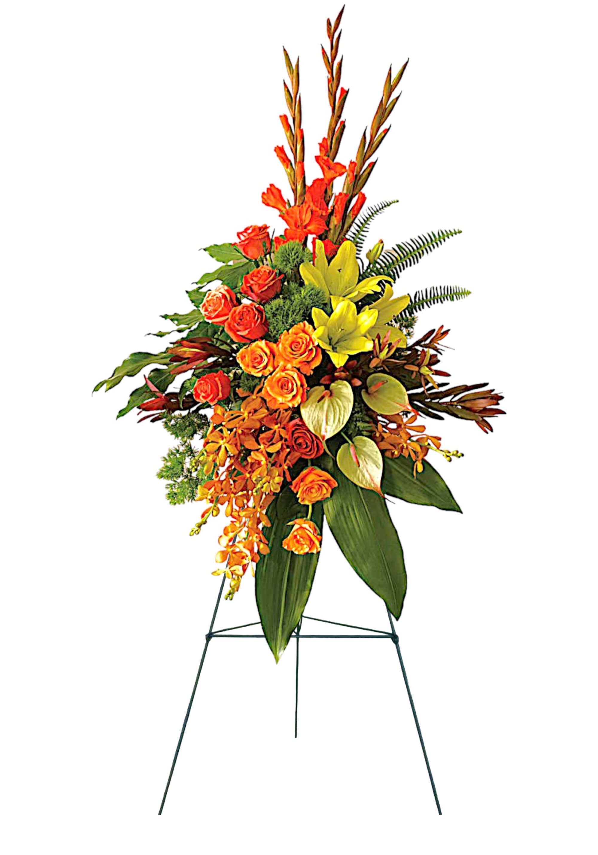 Tropical Tribute Spray - A graceful modern funeral spray of warm colors, it includes flowers such as anthuriums, roses and tropical greenery. Presented as a standing easel display.  DETAILS This standing spray on a wire easel includes tropical flowers such as orange orchids, roses and red gladioli. It also may include Asiatic lilies, anthuriums, tropical ferns and leaves. A grand display appropriate for the funeral home, memorial service, or gravesite.  EASEL INCLUDED Orientation: One-Sided *If you would like to add a ribbon with a sentiment for an additional $10 each. Item #NF-1030  FLORIST-TO-DOOR Same day flower delivery on most orders placed online by 12 pm or 10 am on weekends PST.  BLOOM DETAILS Roses Gladiolas Asiatic Lilies Anthurium Leucadendron Novelty Orchids Green Trick Greenery  The Standard Arrangement is approx. 46&quot;H x 29&quot;W (without stand) The Deluxe Arrangement is approx. 50&quot;H x 31&quot;W (without stand) The Premium Arrangement is approx. 54&quot;H x 33&quot;W (without stand)  How to place an order? 1. You can place an order directly on this secure website OR 2. You can call in your order by dialing: (323) 262 - 9238 OR 3. You can visit our store (appointment recommended 323.262.9238)  NINFA'S FLOWERS 2405 WHITTIER BLVD. LOS ANGELES, CA. 90023