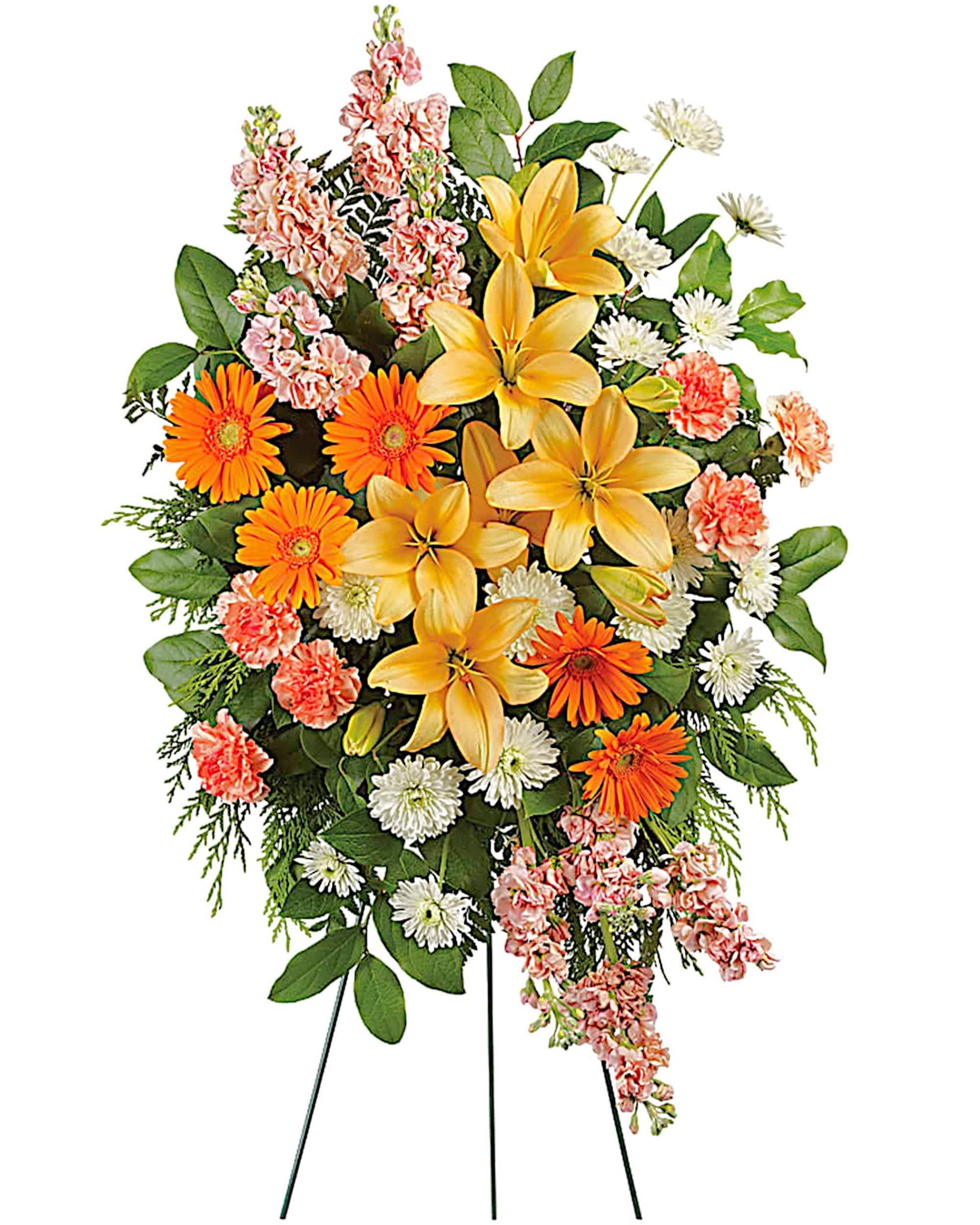 Treasured Lilies Spray - Celebrate the light they brought into your life with this bright, beautiful spray of lilies and gerberas in sunshiny shades of peach and orange. A truly uplifting addition to the memorial service.  DETAILS This glorious spray includes peach Asiatic lilies, orange gerberas, orange carnations, peach stock and white cushion spray chrysanthemums, accented with flat cedar, leatherleaf fern and lemon leaf. A grand display appropriate for the funeral home, memorial service, or gravesite.  EASEL INCLUDED Orientation: One-Sided *If you would like to add a ribbon with a sentiment for an additional $10 each. Item #NF-1031  FLORIST-TO-DOOR Same day flower delivery on most orders placed online by 12 pm or 10 am on weekends PST.  BLOOM DETAILS Asiatic Lilies Stock Gerbera Daisies Cushion Mums Greenery  The Standard Arrangement is approx. 34&quot;H x 22 1/2&quot;W (without stand) The Deluxe Arrangement is approx. 38&quot;H x 24&quot;W (without stand) The Premium Arrangement is approx. 42&quot;H x 26&quot;W (without stand)  INSTRUCTIONS: 1.) Please have the business name of the funeral home, address &amp; phone number. 2.) Please have the first name &amp; last name of the deceased. 3.) Please have the start time of the services. 4.) If you would like for us to write a brief message on a small business card-size note, please have your message ready.  NINFA'S FLOWERS 2405 WHITTIER BLVD. LOS ANGELES, CA. 90023