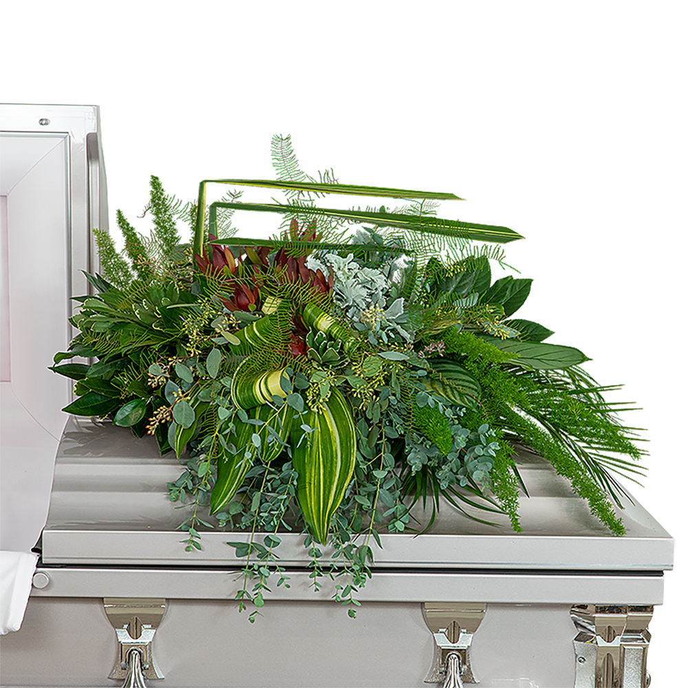 Beloved Botanics Casket Spray Beloved Botanics Casket Spray - Surround your loved one in nature with Our Beloved Botanics Casket Spray featuring Foxtail Fern, Calathea, Aralia Fatsia Variegated Aspidistra, Emerald, Flax, and other premium foliage. The Beloved Botanics Casket Spray is stunning, with its natural, organic color and design. The casket flowers are typically provided by the family of the deceased as a heartfelt memorial from the family and are designed to sit on the lid of the casket for a funeral service or memorial.