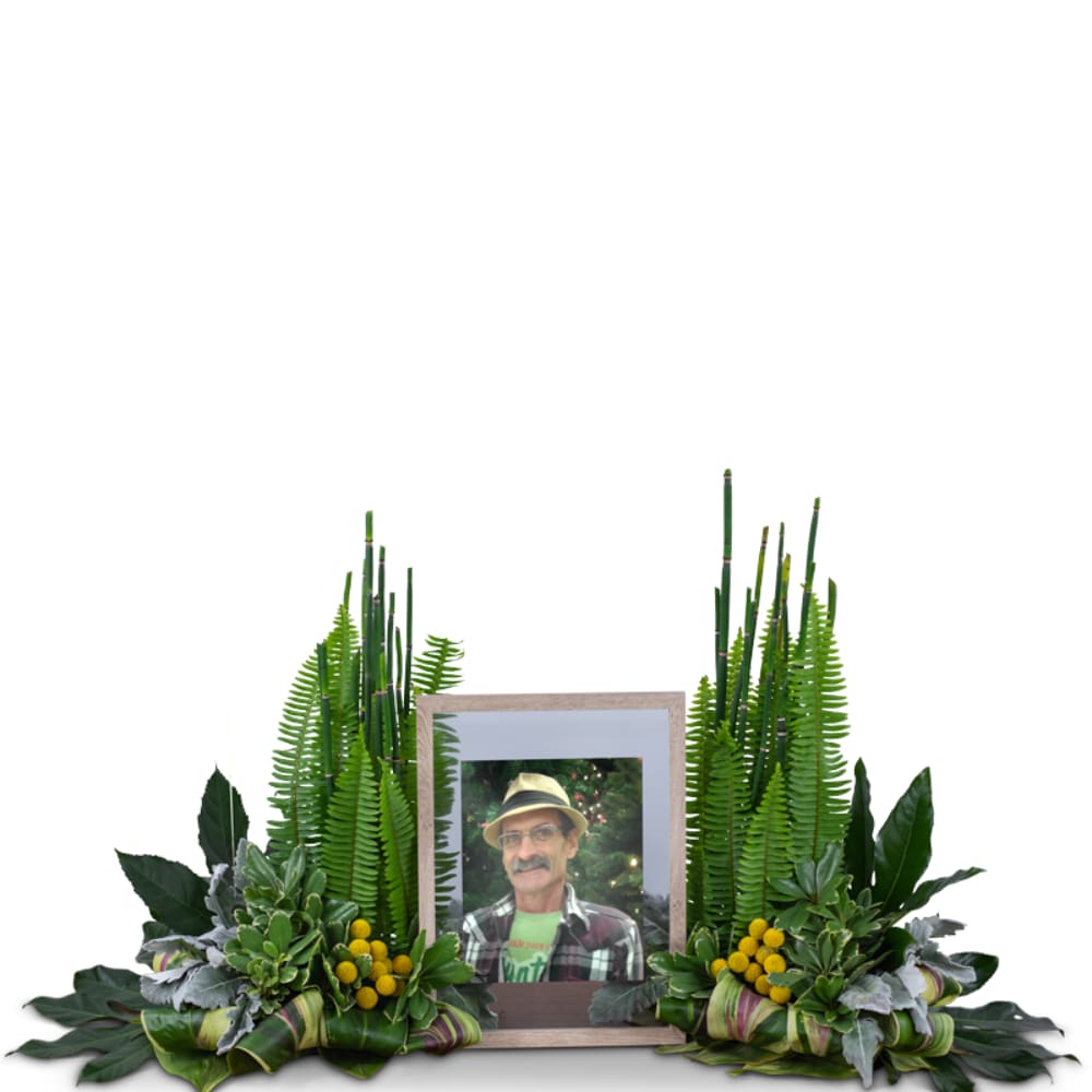 Surrounded In Nature - Our Surrounded in Nature Memorial Design is the perfect tribute for a loved one who loved all things nature. This natural and organic surround features a beautiful variety of textures of organic premium foliage with a touch of gold crespedia. Flowers and plants are a beautiful and meaningful way to offer a tribute for a very special loved one and to celebrate their life.