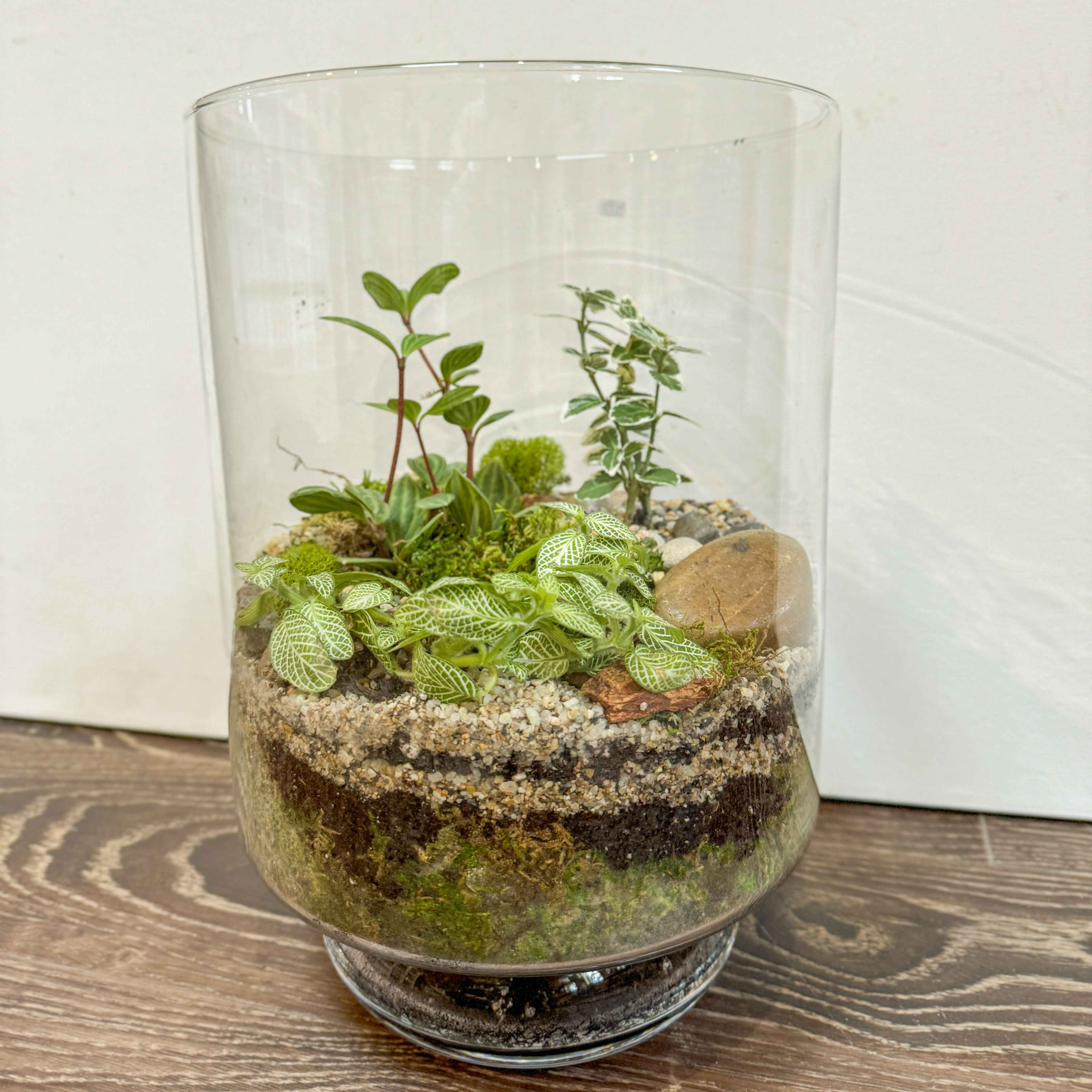 Custom Terrarium in Victor NY Pittsford Florist