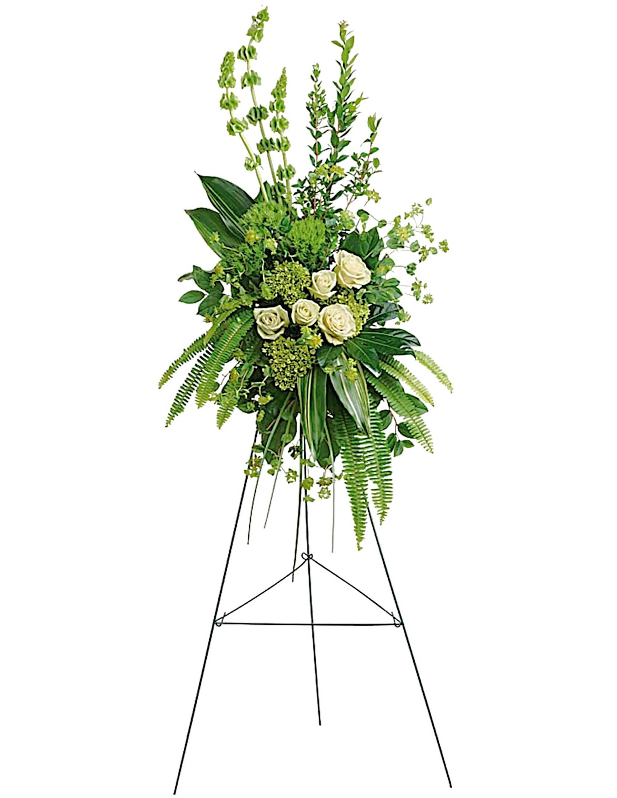 Forever at Peace Spray - Peaceful white roses and gorgeous green hydrangea create an unforgettably elegant spray that brings a sense of modern tranquility to the service. A grand display appropriate for the funeral home, memorial service, or gravesite.  DETAILS This tranquil spray of miniature green hydrangea, green roses, green trick dianthus, and bells of Ireland is accented with bupleurum, myrtle, sword fern, variegated aspidistra leaves, aralia leaf, bear grass, and lemon leaf.   EASEL INCLUDED Orientation: One-Sided *If you would like to add a ribbon with a sentiment for an additional $10 each. Item #NF-1083  FLORIST-TO-DOOR Same day flower delivery on most orders placed online by 12 pm or 10 am on weekends PST.  BLOOM DETAILS Bells of Ireland Roses Mini Hydrangeas Green Trick Bupleurum Greenery  The Standard Arrangement is approx. 47&quot;H x 24 1/2&quot;W (SHOWN) The Deluxe Arrangement is approx. 50&quot;H x 26&quot;W The Premium Arrangement is approx.54&quot;H x 28&quot;W  INSTRUCTIONS: 1.) Please have the business name of the funeral home, address &amp; phone number. 2.) Please have the first name &amp; last name of the deceased. 3.) Please have the start time of the services. 4.) If you would like for us to write a brief message on a small business card-size note, please have your message ready.  NINFA'S FLOWERS 2405 WHITTIER BLVD. LOS ANGELES, CA. 90023