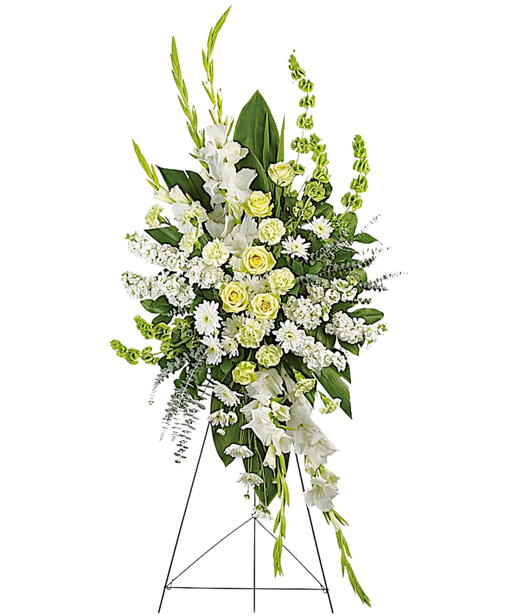 Magnificent Life Standing Spray - An elegant expression of sympathy, this wondrous white and green spray conveys purity and peace. A glorious choice for a magnificent memorial. A grand display appropriate for the funeral home, memorial service, or gravesite.  DETAILS This gorgeous array of green roses, green carnations, white gladioli, white stock, white cushion spray chrysanthemums and bells of Ireland is accented with green Ti leaves, spiral eucalyptus and lemon leaf.   EASEL INCLUDED Orientation: One-Sided *If you would like to add a ribbon with a sentiment for an additional $10 each. Item #NF-1091  FLORIST-TO-DOOR Same day flower delivery on most orders placed online by 12 pm or 10 am on weekends PST.  BLOOM DETAILS Bells of Ireland Gladiolas Stock Roses Carnations Cushion-Mums Greenery  The Standard Arrangement is approx. 58 1/2&quot;H x 29&quot;W (without stand) (SHOWN) The Deluxe Arrangement is approx. 62&quot;H x 31&quot;W (without stand) The Premium Arrangement is approx. 66&quot;H x 33&quot;W (without stand)  INSTRUCTIONS: 1.) Please have the business name of the funeral home, address &amp; phone number. 2.) Please have the first name &amp; last name of the deceased. 3.) Please have the start time of the services. 4.) If you would like for us to write a brief message on a small business card-size note, please have your message ready.  NINFA'S FLOWERS 2405 WHITTIER BLVD. LOS ANGELES, CA. 90023