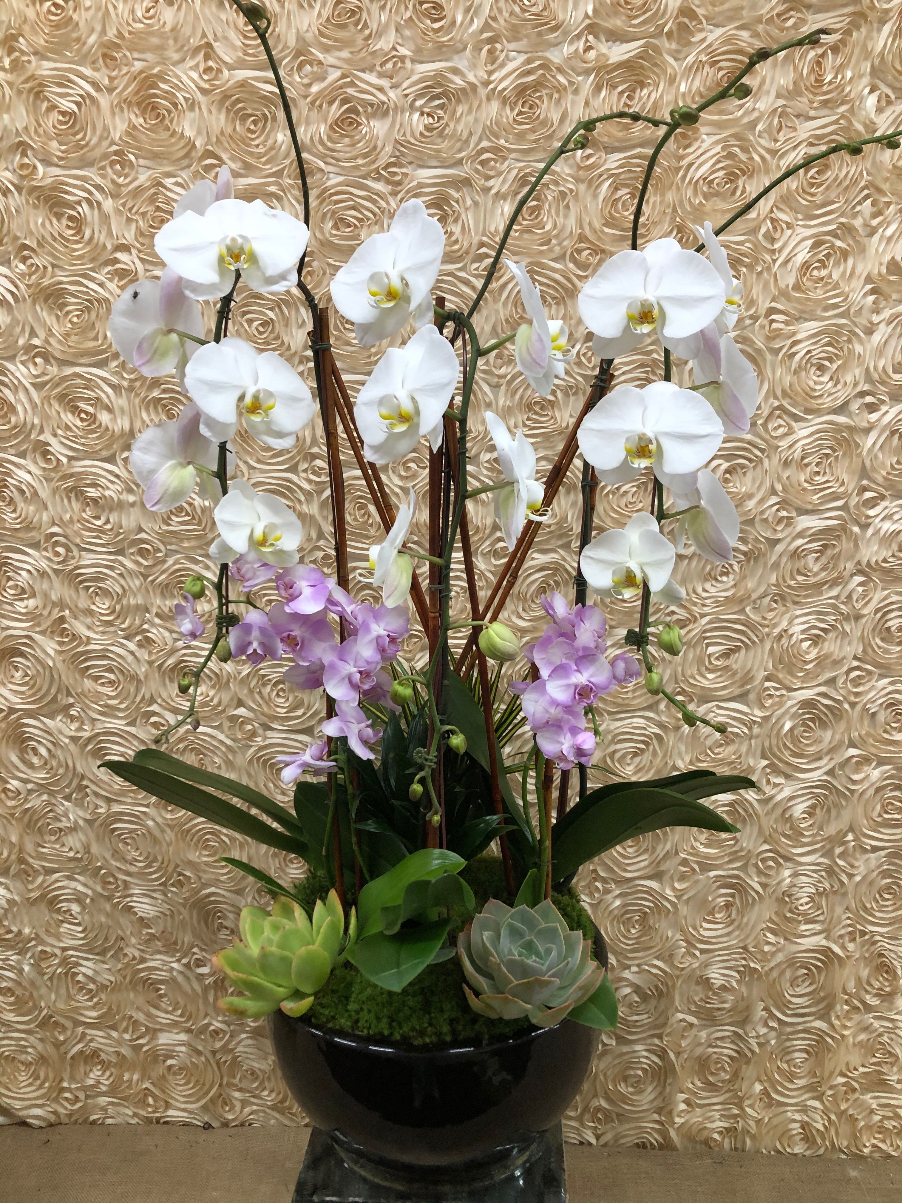Lucky In Love - This absolutely gorgeous orchid plant is sure to tantalize that special someone with stunning white and lavender orchids.  