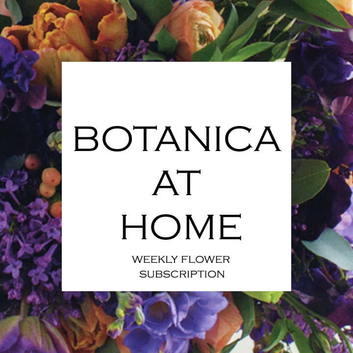 Botanica At Home - Weekly Flower Subscription Botanica At Home - Weekly Flower Subscription - Introducing Botanica at Home! Release your inner floral designer with Botanica At Home. We are now offering weekly flower subscriptions so you can get creative and design your own arrangements with the same beautiful, high quality flowers that we use here at our studio. Most of which you won’t find at your local grocery store. Each Friday you will receive a lush mixture of in-season blooms from some of our favorite local growers for you to arrange at home. Varieties and colors will vary from week to week and will contain enough flowers and foliage for one large or several small arrangements. Choose from one, two or three month subscriptions.* Flowers will be delivered every Friday to your door along with conditioning & care instructions. Price includes delivery. PLEASE NOTE: Due to the way our shopping cart is set up, there will be a small delivery charge added upon check out but this has been taken into consideration and has been adjusted in the item price. Orders must be placed by Tuesday of current week that you want your delivery to start. We cannot guarantee Friday delivery if order is placed after Tuesday. However you can place your order any time before that for future deliveries. * PLEASE NOTE: A month equals 4 deliveries so in cases where there are 5 weeks in a month you will receive flowers 4 out of the 5 weeks. Standard = One Month Subscription Deluxe = Two Month Subscription Premium = Three Month Subscription