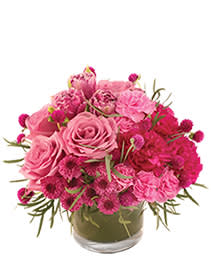 Blushing Love Arrangement - Blush pink roses, pink carnations, pink and mauve colored cushion mums and wispy greens designed in a pava low clear cylinder vase. 