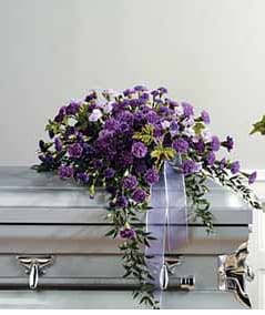 SF35-11 - John Henry Sympathy - SF35-11 SPRAY 