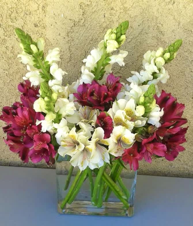 Feeling fancy Feeling fancy - This beautiful design includes colorful and vibrant Snapdragons and Alstroemeria arranged neatly in a glass vase. Perfect for just about any occasion. Design measures approx. 12”w x 14”H.