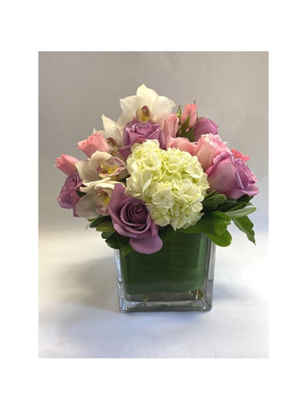 Sweet Dreams Sweet Dreams - White hydrangeas, pink spray roses, white cymbidium orchids, lavender roses, soft pink roses, and green pittosporum in a clear cube vase lined with green leaf ribbon,