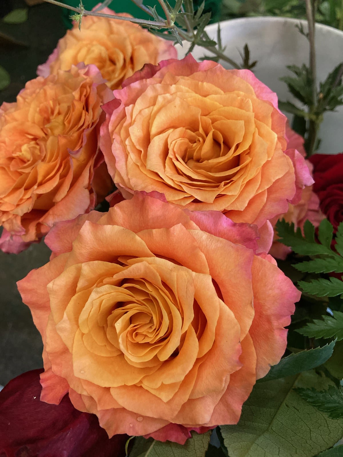 Designers  Choice Grandparents Day  - Get a Lovely Arrangement for Grandparents Day