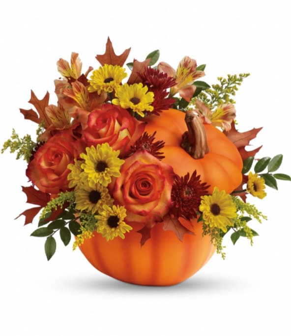 Teleflora's Warm Fall Wishes Bouquet Teleflora's Warm Fall Wishes Bouquet - Everyone falls for this fabulous fall gift! Celebrate the season with this autumn arrangement of roses and alstroemeria, arranged in a classic ceramic pumpkin they'll use year after year!