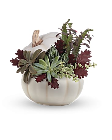 Teleflora's Spooky Succulent Garden Teleflora's Spooky Succulent Garden - Fabulously festive! Celebrate the spookiest season in style with this whimsical white ceramic pumpkin, arranged with a lush garden of living succulent plants. This live garden features a variety of succulents and cacti accented with transparent oak leaves and river rocks. Delivered in Teleflora's Enchanted Harvest Pumpkin. Orientation: All-Around